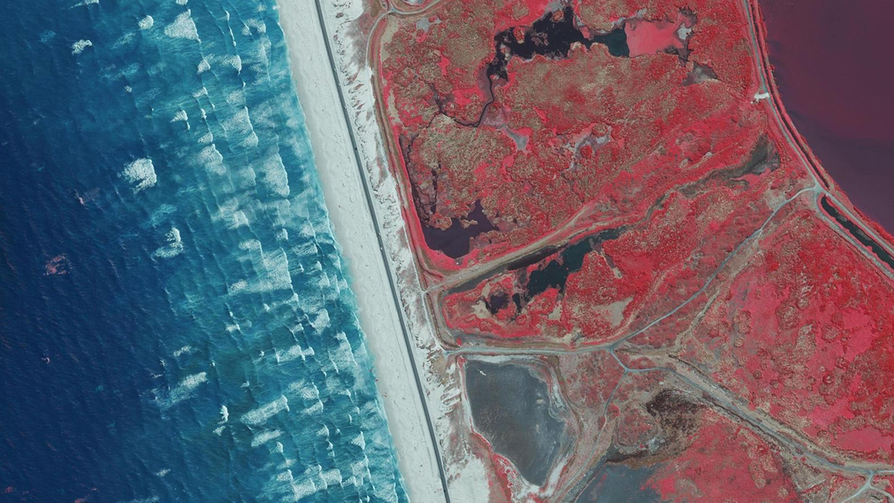 Multispectral image of vegetation near the ocean in Cape Town, South Africa