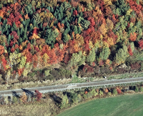 Levis QC CA 46.728174, -71.153791