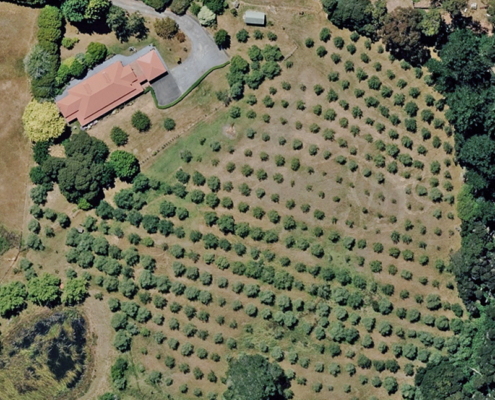 Legana TAS AU -41.349417, 147.066865